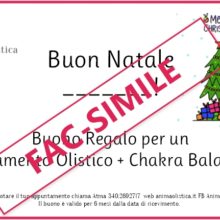 Gift Card Natale 2020